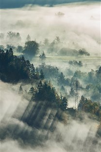 清晨大霧風景壁紙