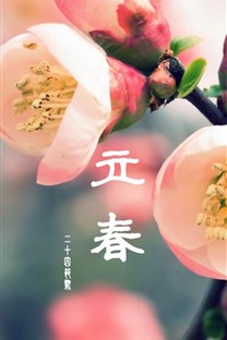 立春節(jié)日壁紙