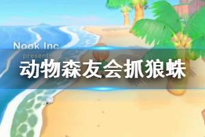 《集合啦動物森友會》抓狼蛛經(jīng)驗分享 新人怎么抓狼蛛