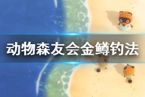 《集合啦動物森友會》金鱒怎么釣 金鱒釣法介紹