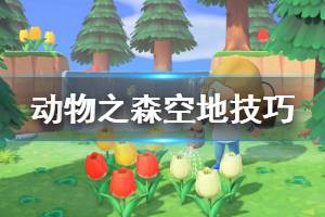 《集合啦動物森友會》怎么讓空地不被強塞動物 空地使用技巧分享