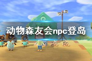 《集合啦動物森友會》npc登島時(shí)間介紹 npc什么時(shí)候登島