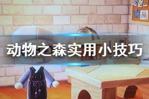 《集合啦動物森友會》怎么加速 游戲?qū)嵱眯〖记山榻B