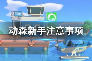 《集合啦動物森友會》新手怎么玩 新手游玩注意事項一覽