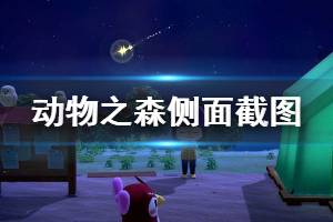 《集合啦動物森友會》怎么從側(cè)面截圖 側(cè)面截圖方法介紹