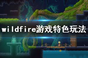 《Wildfire》游戲怎么樣？游戲特色玩法簡(jiǎn)單介紹