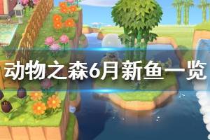 《集合啦動物森友會》北半球6月有什么新魚 北半球6月新魚一覽