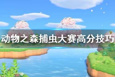 《集合啦動物森友會》捕蟲大賽高分怎么刷 捕蟲大賽高分技巧分享