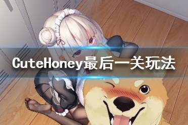 《可愛(ài)的寶貝》第十關(guān)通關(guān)教程 CuteHoney最后一關(guān)玩法介紹