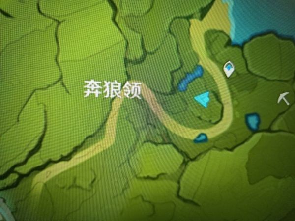 《原神》蒙德特產照片收集攻略