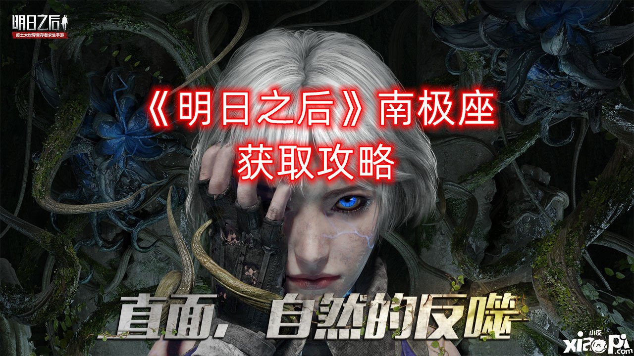 《嫡之后》南極座獲取攻略