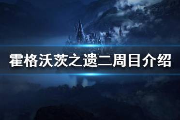  以上就是霍格沃茨之遺二周目介紹的全部內(nèi)容